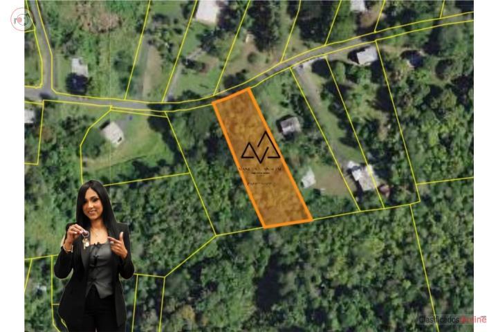 Quebrada Cruz - Toa Alta