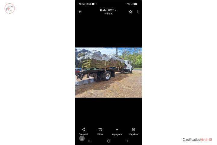 Int 95 flat bed 24 pies