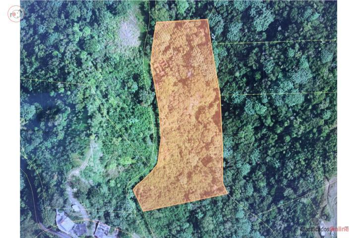 Finca - Barrio Bauta Arriba - Orocovis