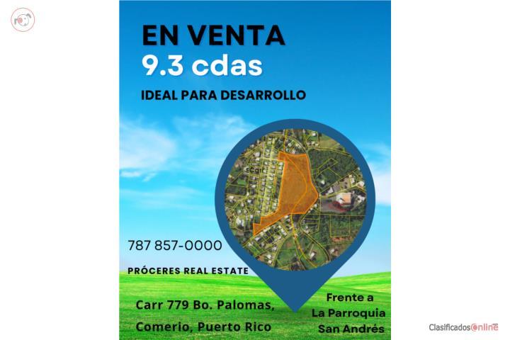 Finca de 9.3 cás